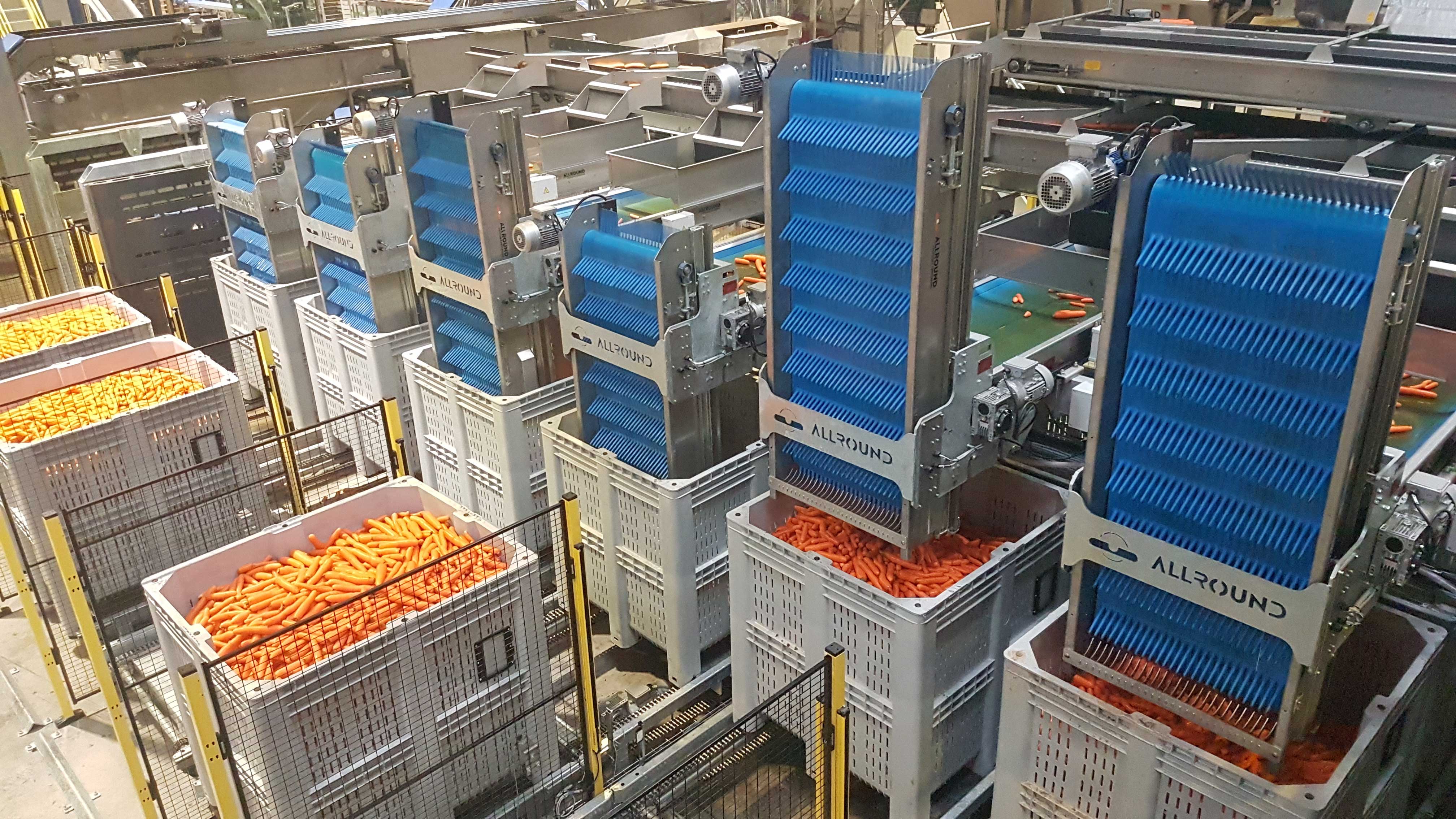 Allround Vegetable Processing - Machine, Processing Line & Cold Storage