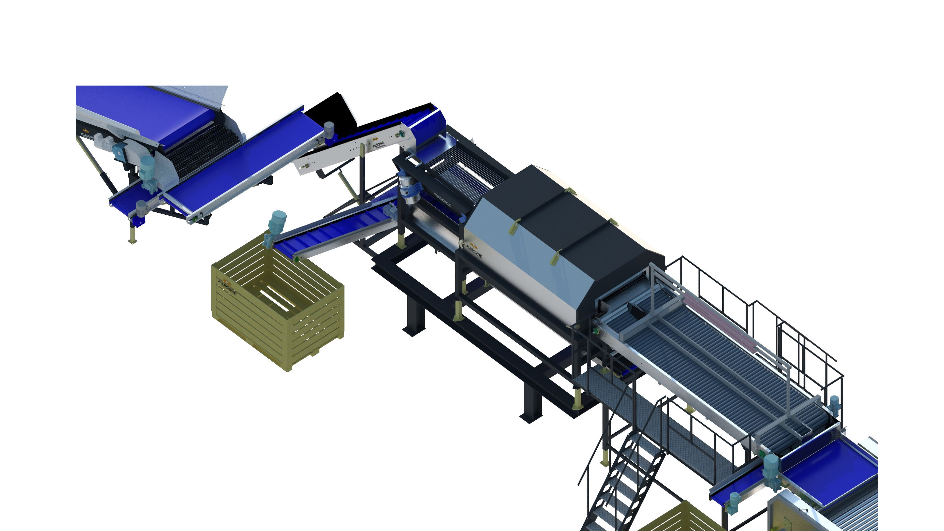 new-a2-onion-line-3.jpg