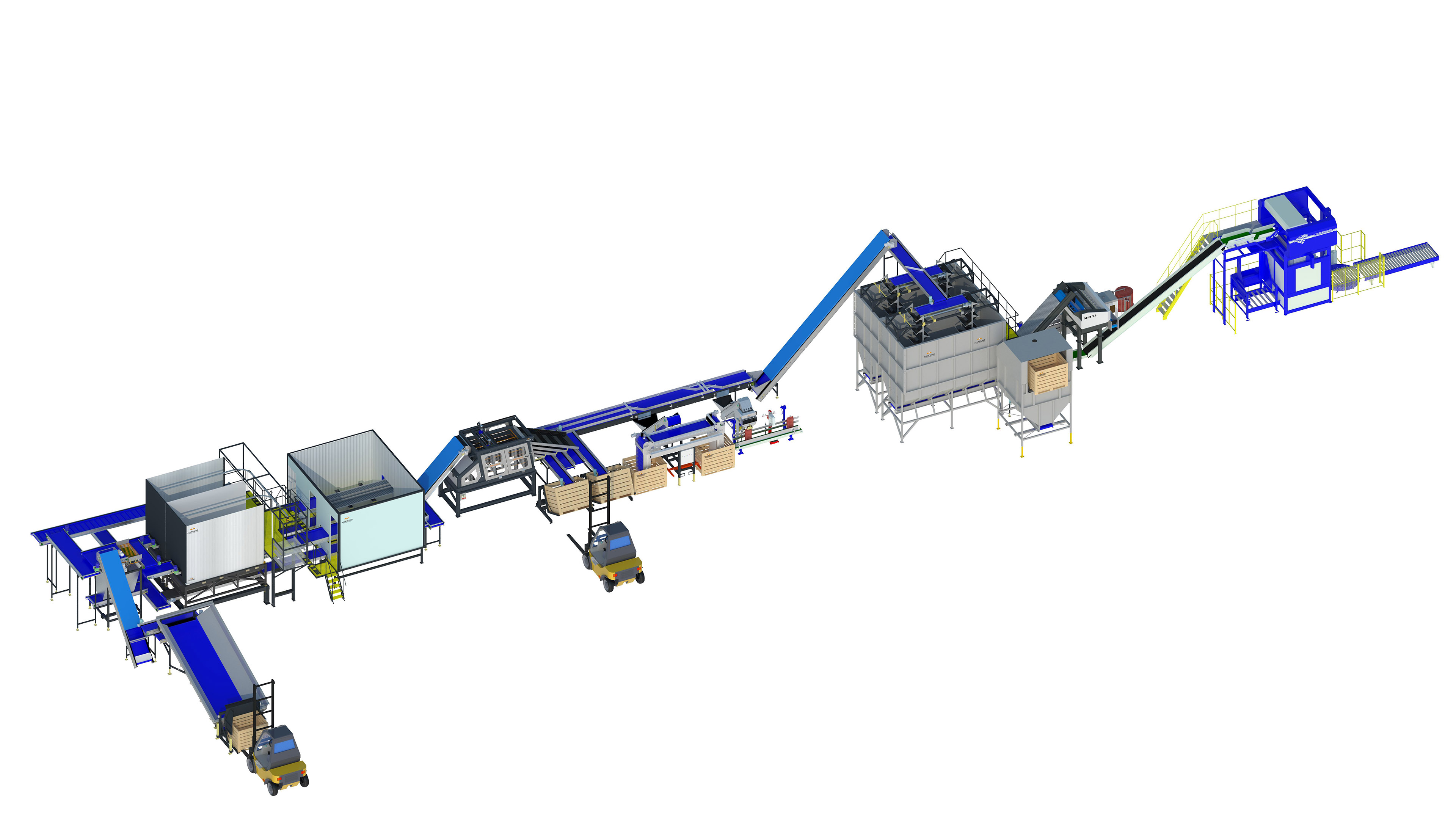 onion-processing-A3-2-series.jpg